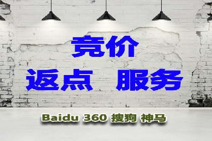 案例分析：竞价推广实战中的困境与突破
